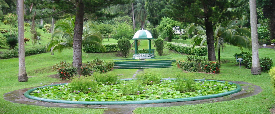 St Vincent Botanical 